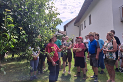 ogv-schorndorf-07